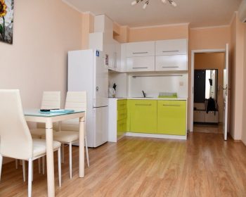 One bedroom apartment in Venera Palace